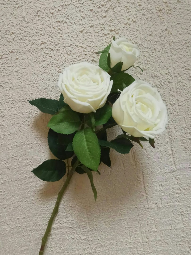 роза пионовидная 2+1 белая